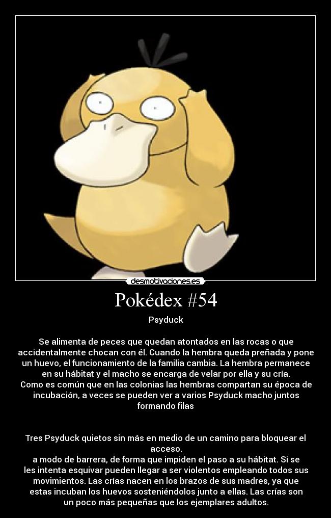 Pokédex #54 -