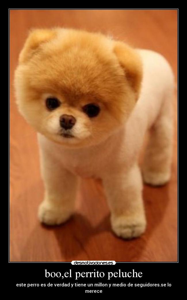 perrito como peluche