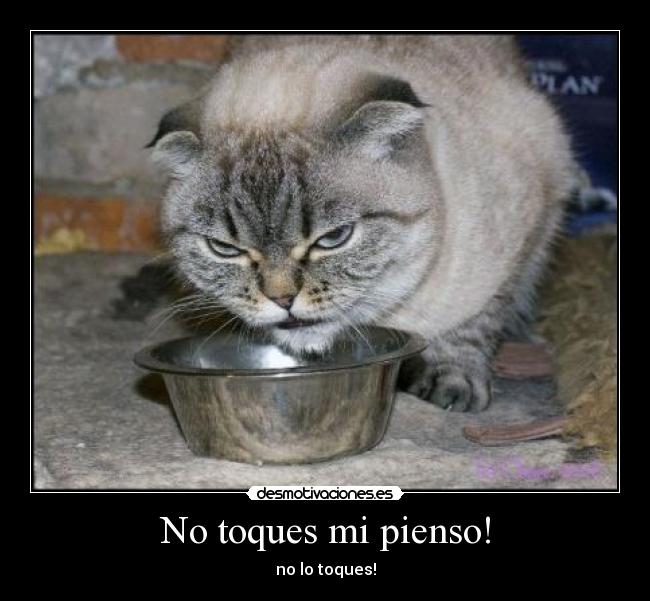 No toques mi pienso! -
