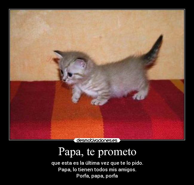 Papa, te prometo - que esta es la última vez que te lo pido.
Papa, lo tienen todos mis amigos.
Porfa, papa, porfa