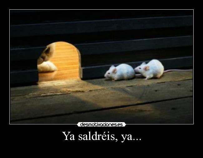 Ya saldréis, ya... - 
