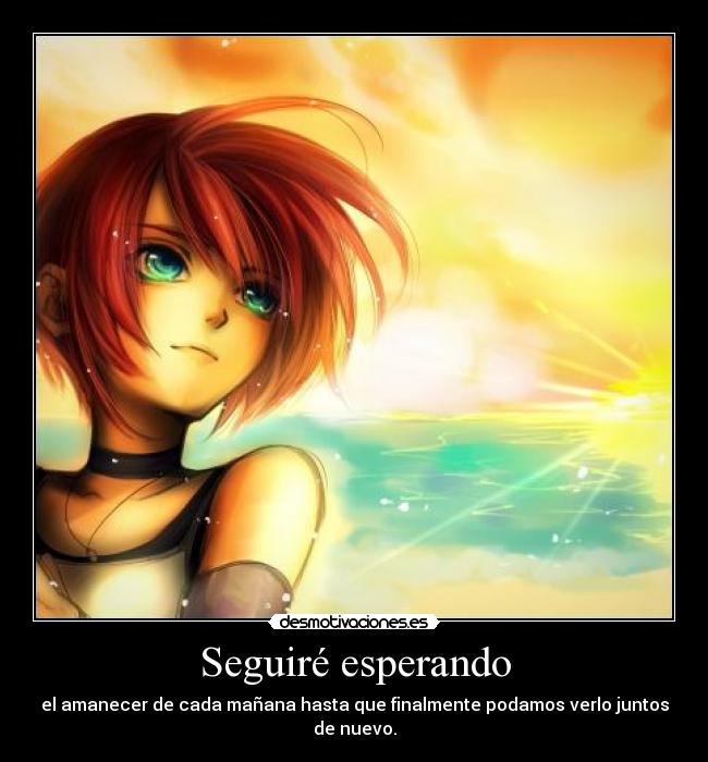Seguiré esperando -