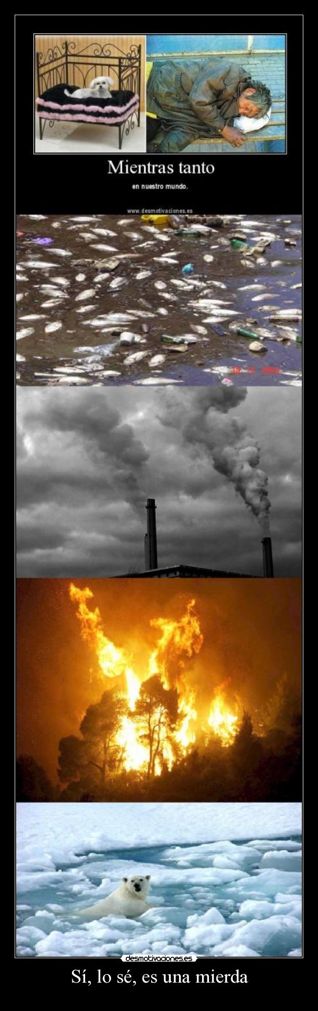 Sí, lo sé, es una mierda -   