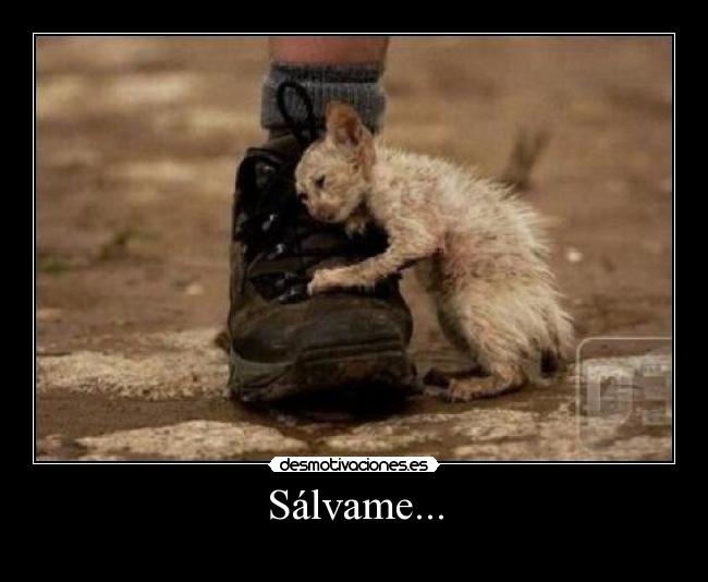 carteles salvame desmotivaciones