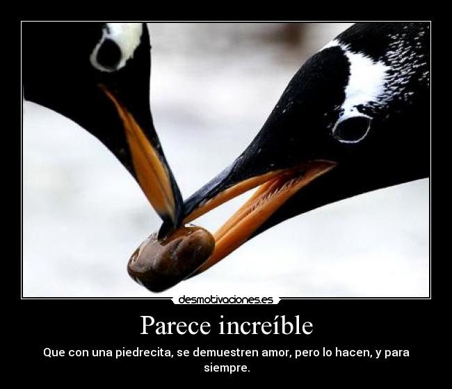 carteles increible pinguinos desmotivaciones