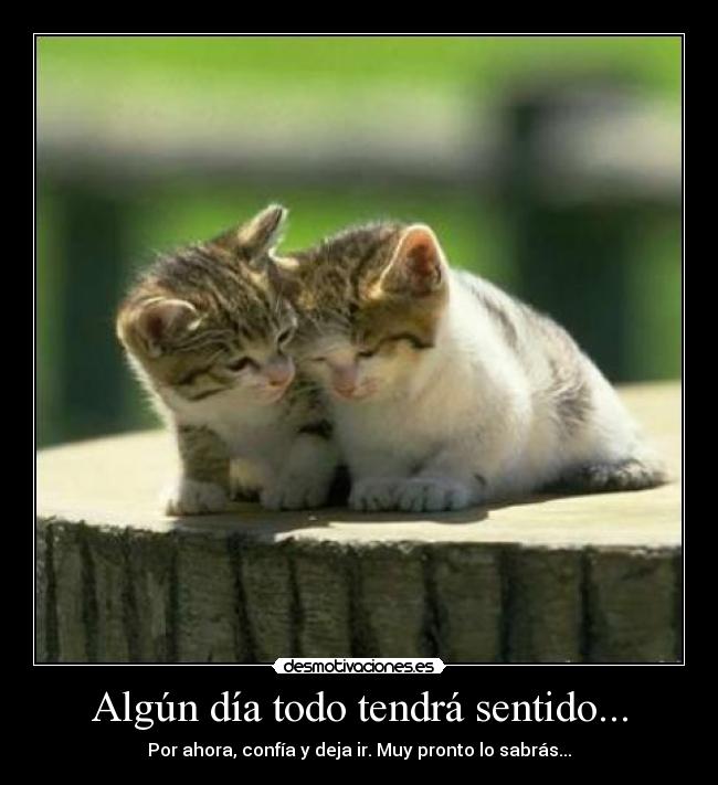 Algún día todo tendrá sentido... - 
