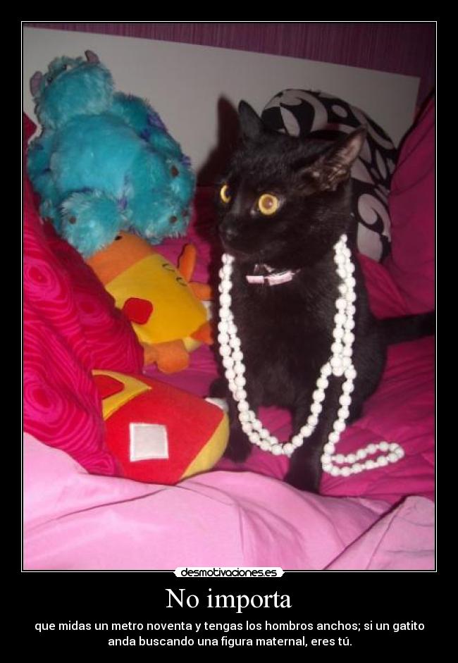 No importa - que midas un metro noventa y tengas los hombros anchos; si un gatito
anda buscando una figura maternal, eres tú.