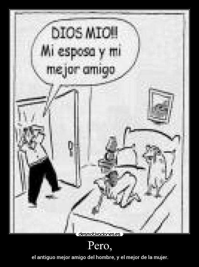 Pero, - el antiguo mejor amigo del hombre, y el mejor de la mujer.