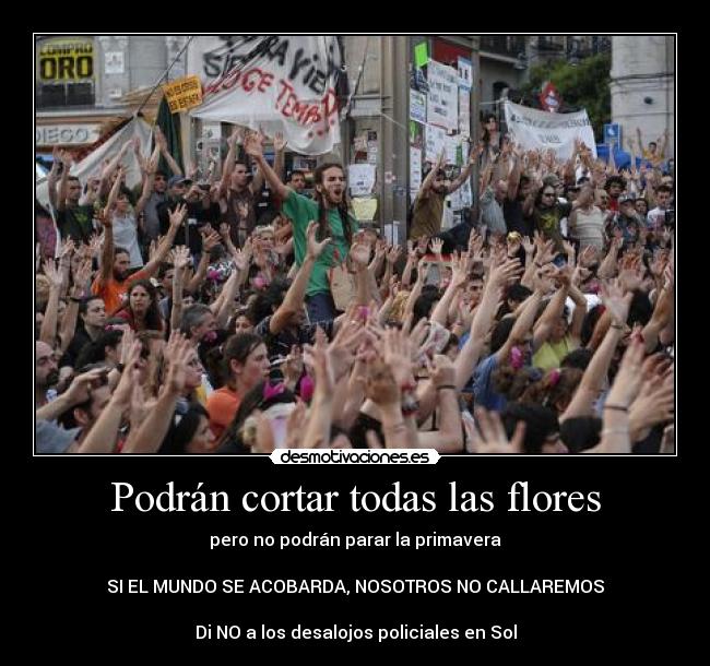 Podrán cortar todas las flores -