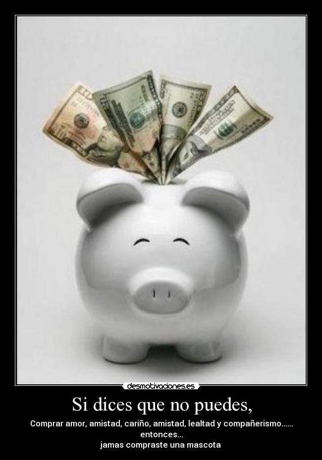 Si dices que no puedes, - Comprar amor, amistad, cariño, amistad, lealtad y compañerismo......
entonces...
jamas compraste una mascota