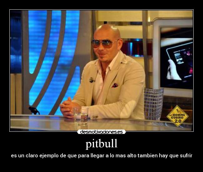 pitbull -