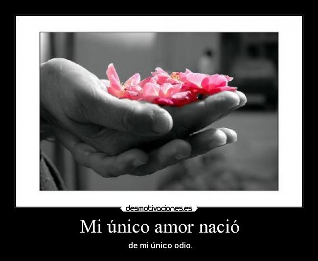 Mi único amor nació -
