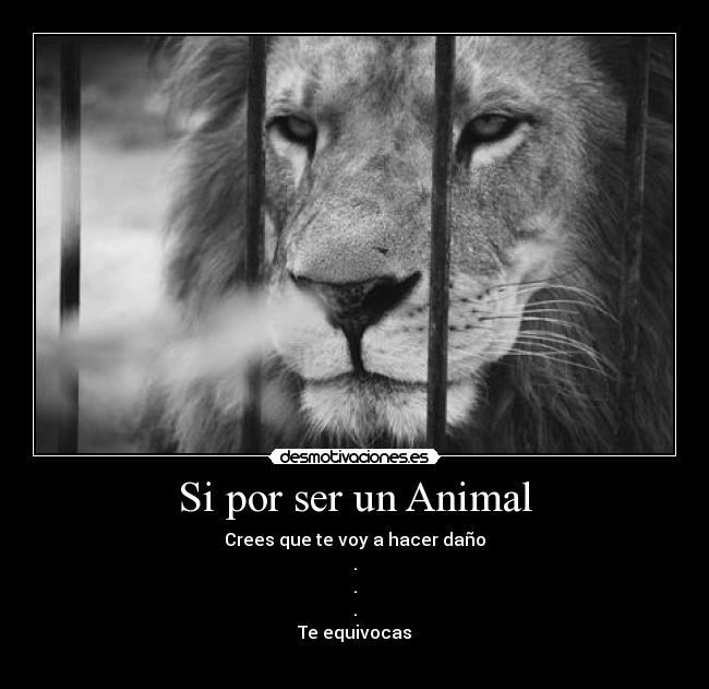 Si por ser un Animal - 