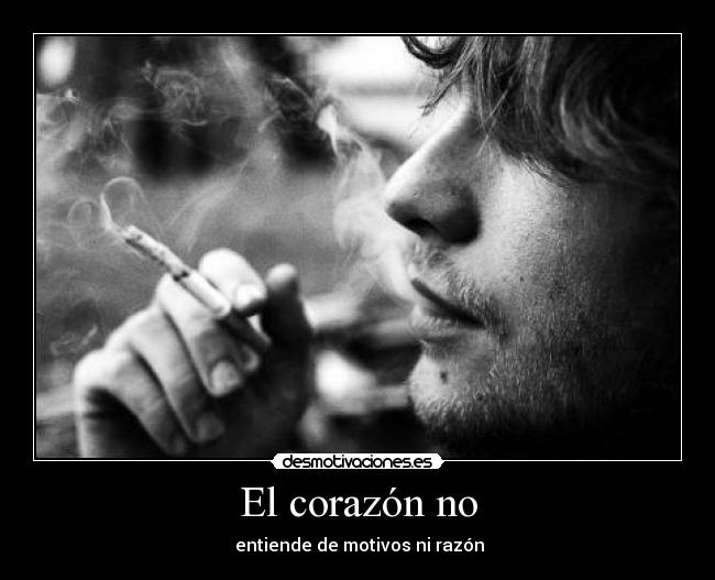 El corazón no - entiende de motivos ni razón