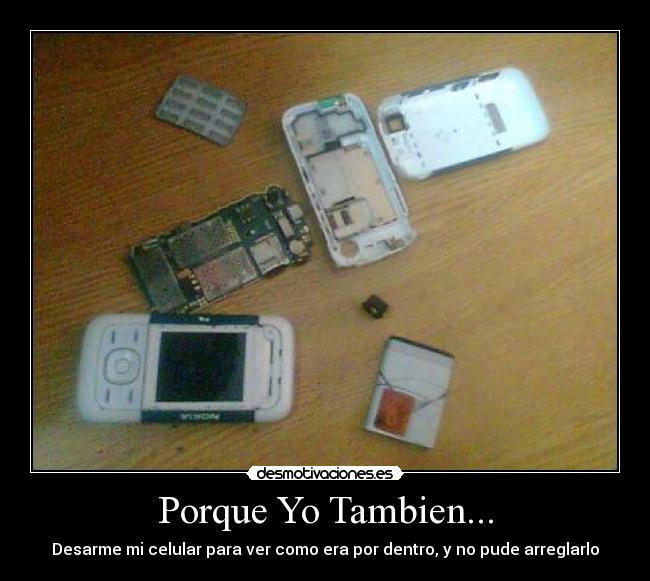 Porque Yo Tambien... - Desarme mi celular para ver como era por dentro, y no pude arreglarlo