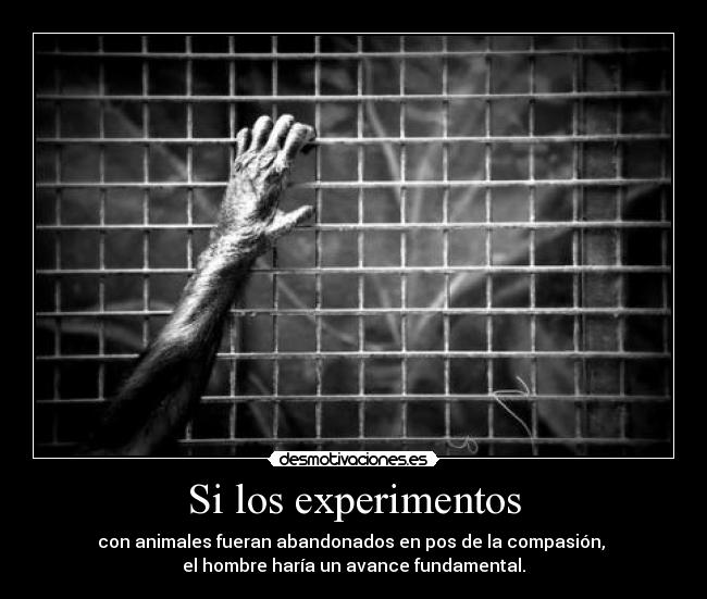 Si los experimentos - 