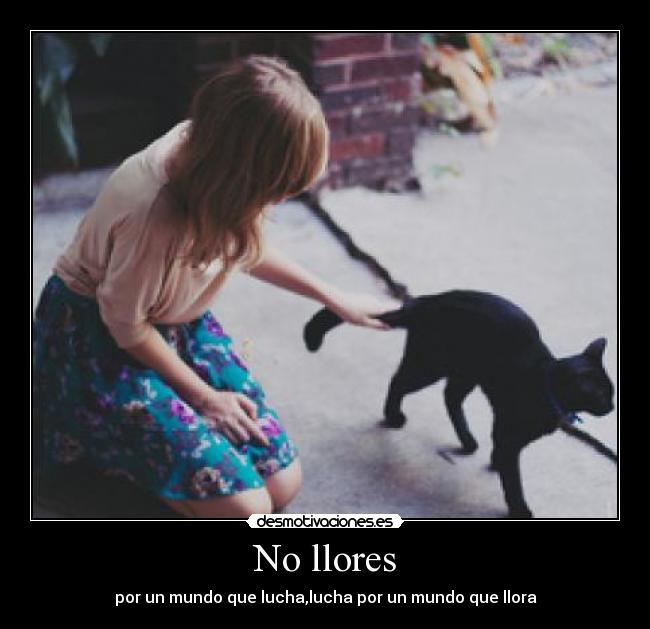 No llores - por un mundo que lucha,lucha por un mundo que llora