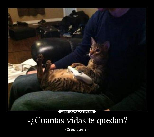 -¿Cuantas vidas te quedan? - 