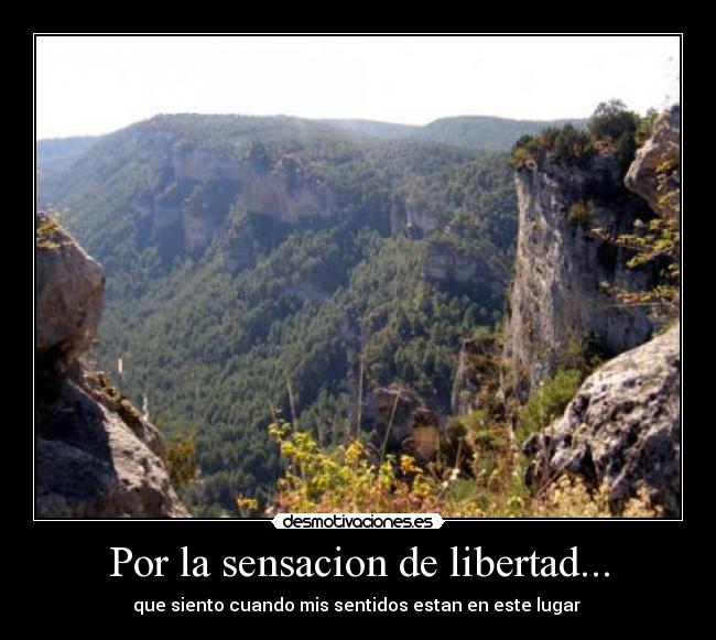 Por la sensacion de libertad... - que siento cuando mis sentidos estan en este lugar