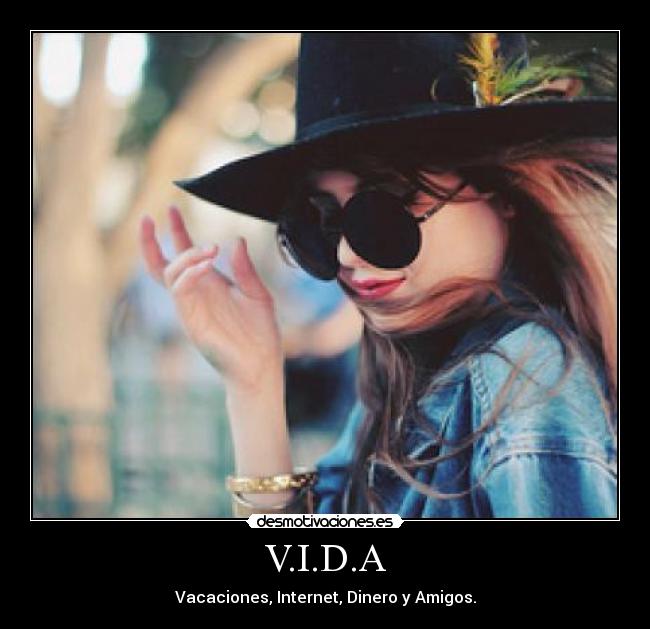 V.I.D.A - Vacaciones, Internet, Dinero y Amigos.