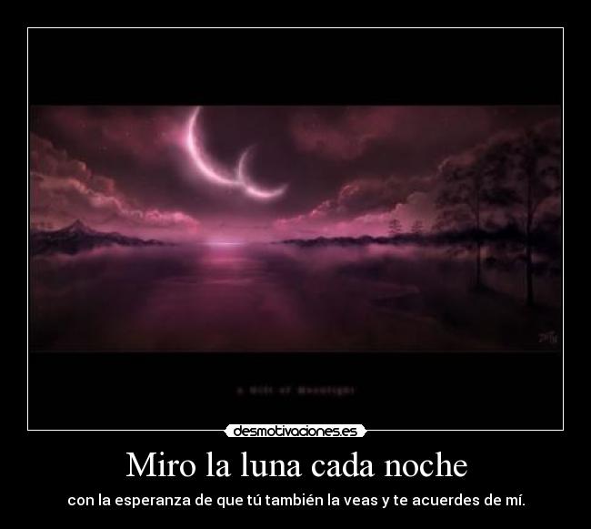 Miro la luna cada noche -