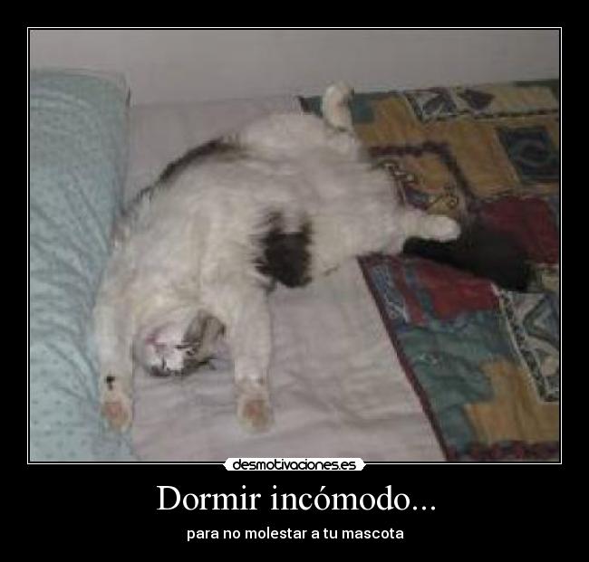 Dormir incómodo... -