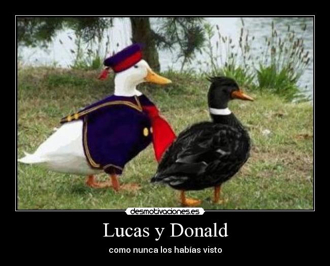 Lucas y Donald - 