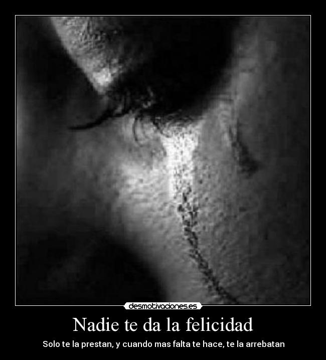 Nadie te da la felicidad - 