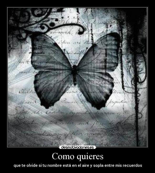 carteles wwwdesmotivacioneses desmotivaciones