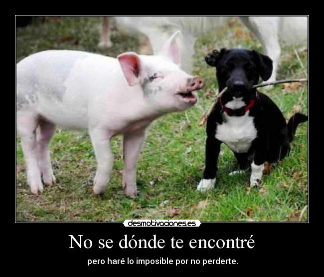 No se dónde te encontré -