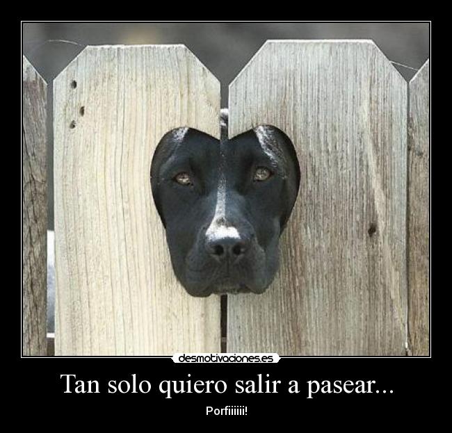 Tan solo quiero salir a pasear... - Porfiiiiii!