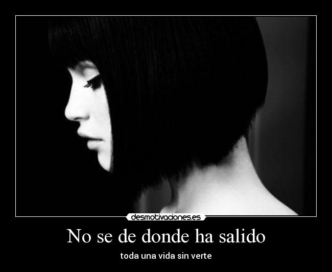 No se de donde ha salido - 