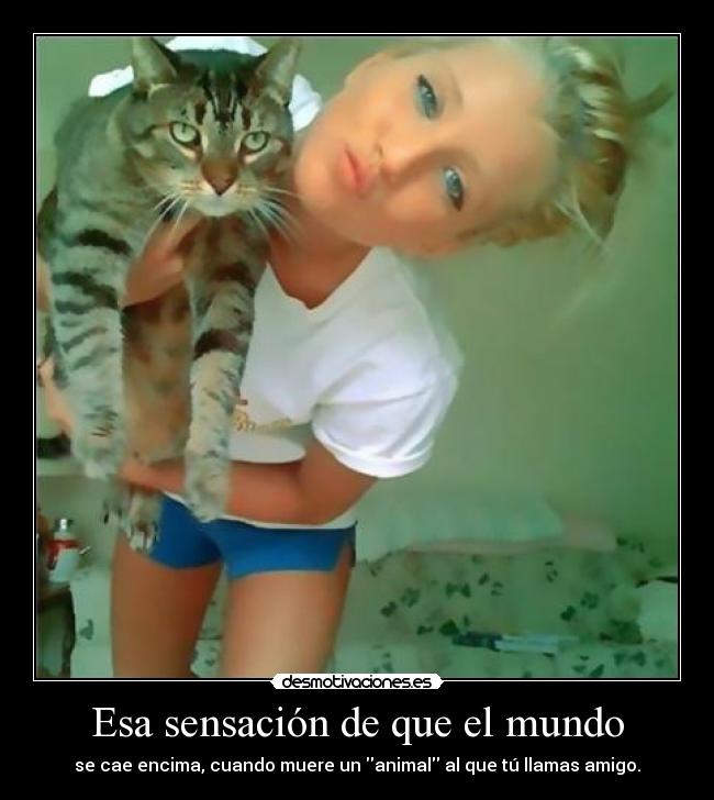 Esa sensación de que el mundo - 