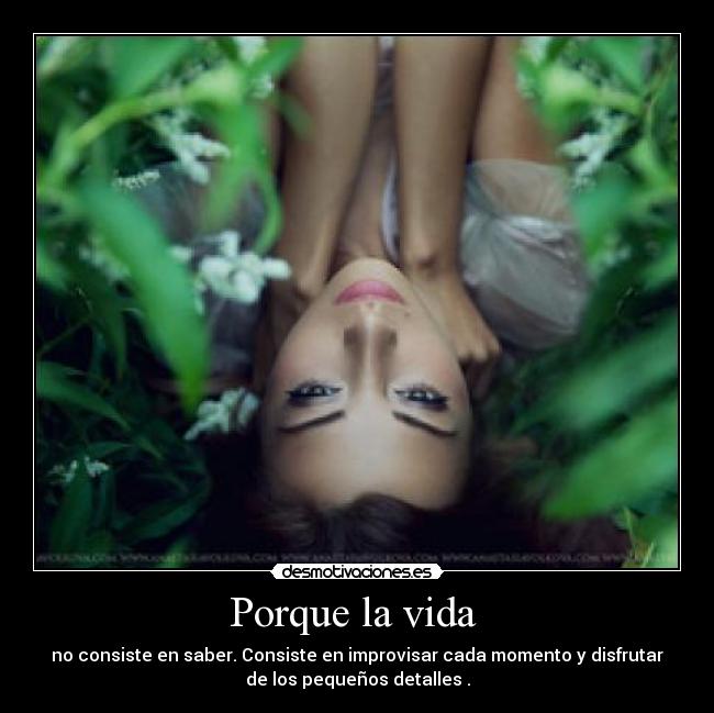 Porque la vida  - 