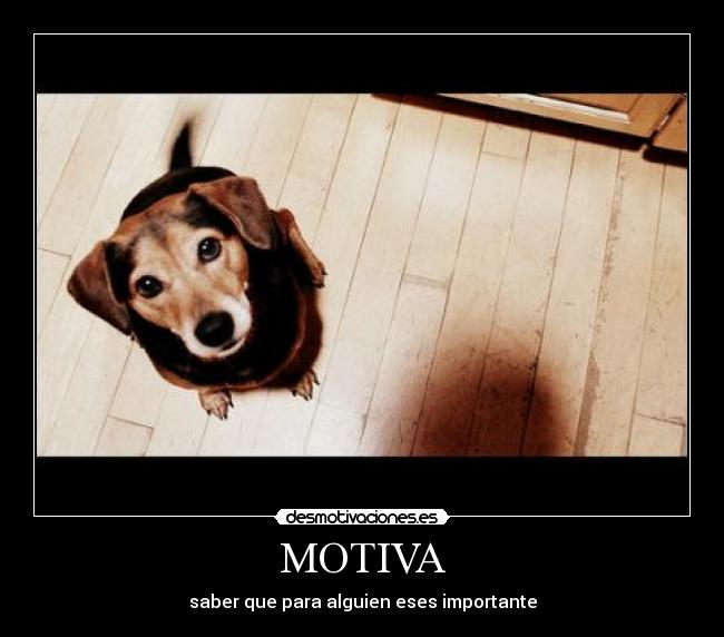 MOTIVA - 