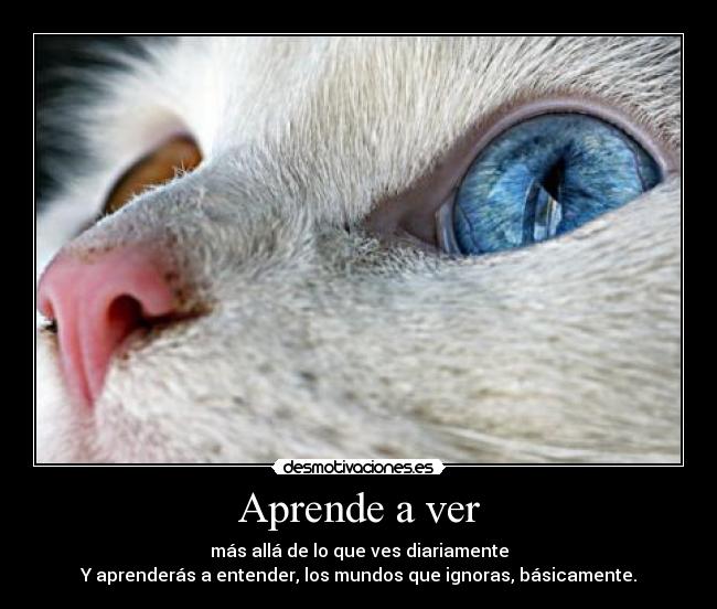 Aprende a ver -