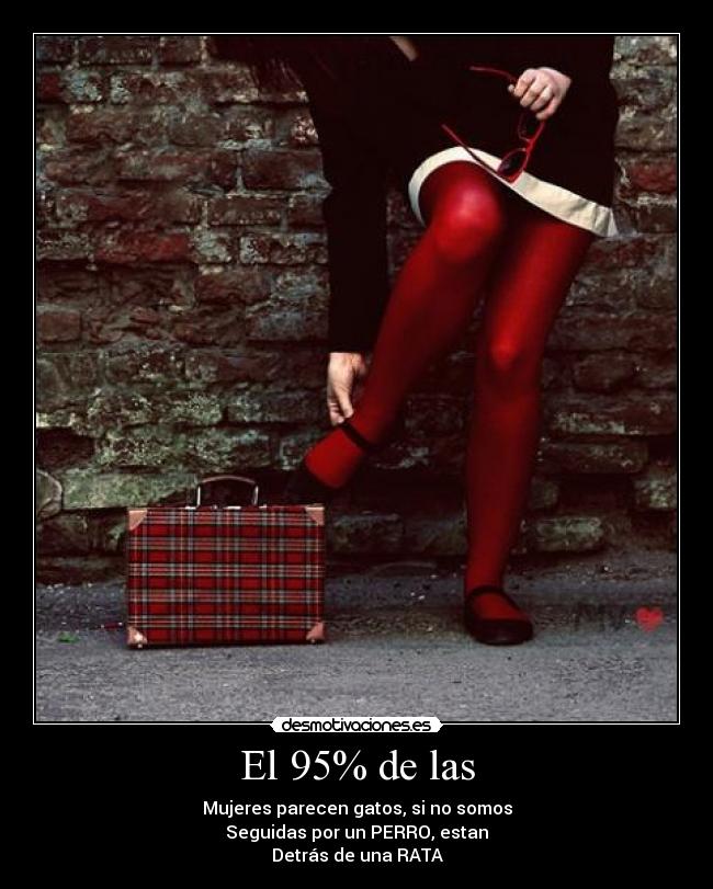 carteles rata perro mujeres seguidas etc desmotivaciones