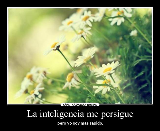 La inteligencia me persigue - pero yo soy mas rápido.