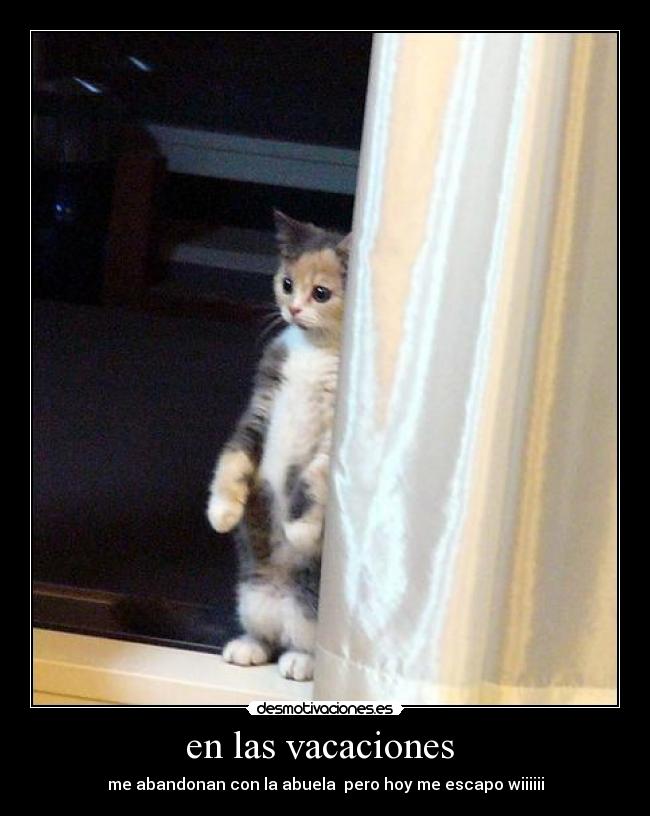 en las vacaciones  - 