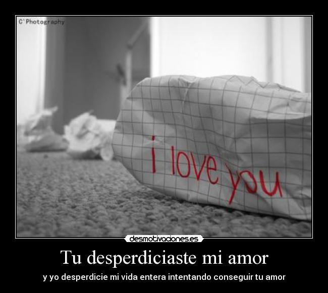 Tu desperdiciaste mi amor - 