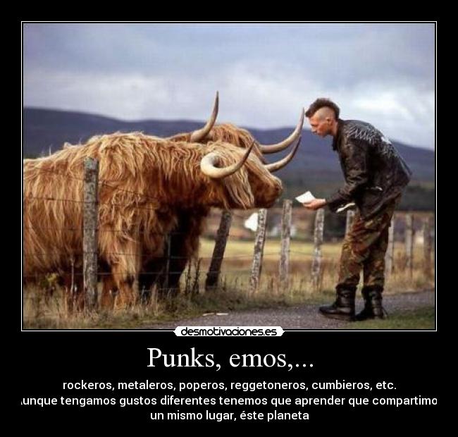 Punks, emos,... -