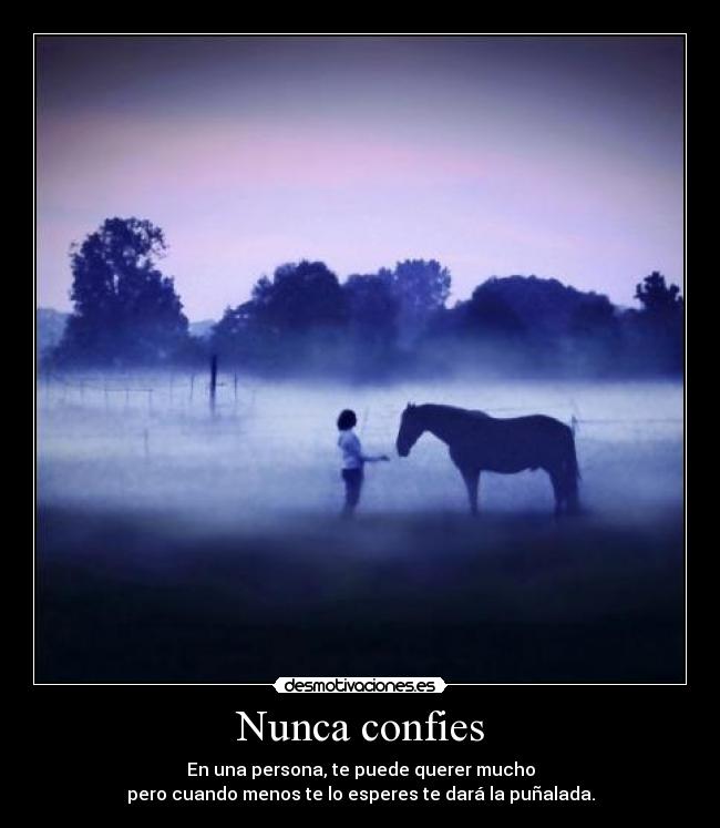 Nunca confies - En una persona, te puede querer mucho
pero cuando menos te lo esperes te dará la puñalada.
