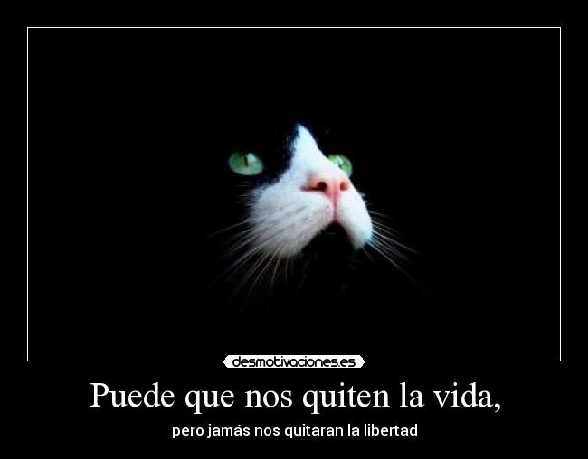 Puede que nos quiten la vida, - 