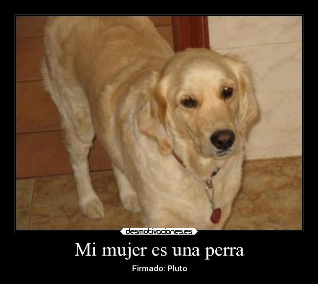 Mi mujer es una perra -