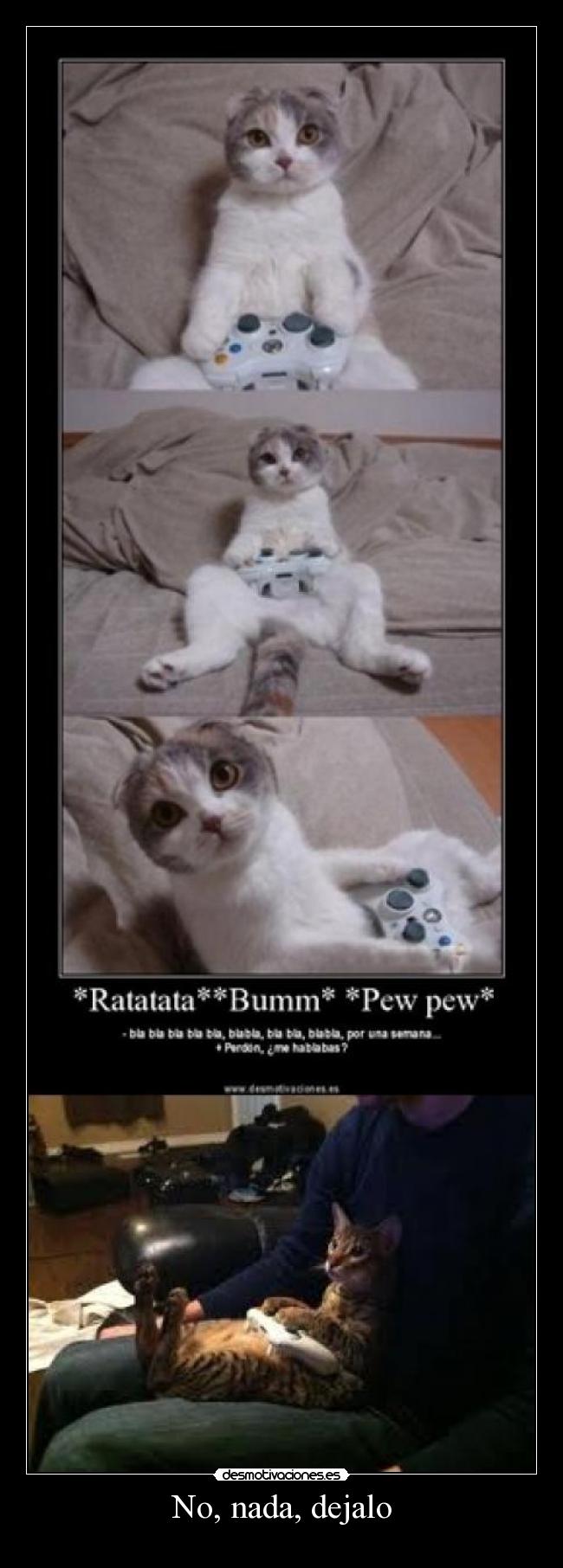 No, nada, dejalo - 