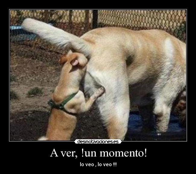 A ver, !un momento! - 