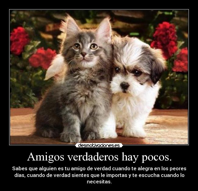 Amigos verdaderos hay pocos. - Sabes que alguien es tu amigo de verdad cuando te alegra en los peores
días, cuando de verdad sientes que le importas y te escucha cuando lo
necesitas.