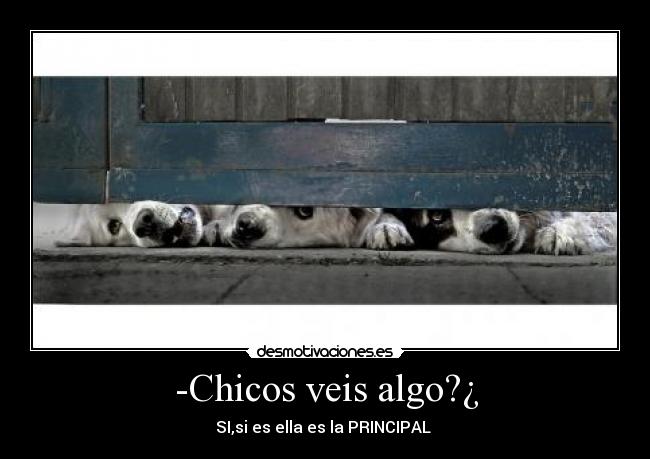 -Chicos veis algo?¿ -