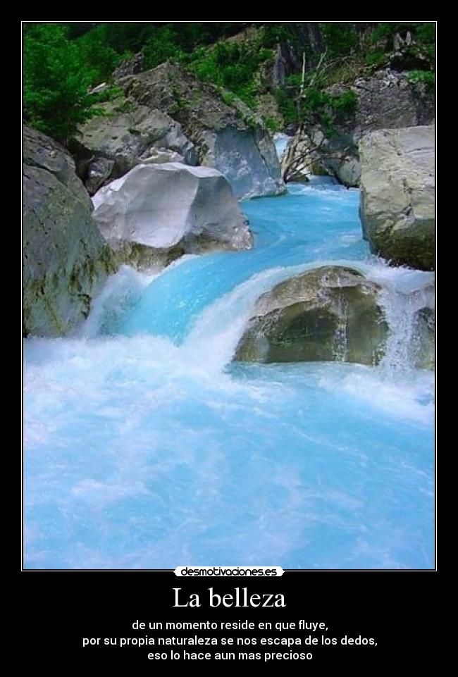 La belleza -