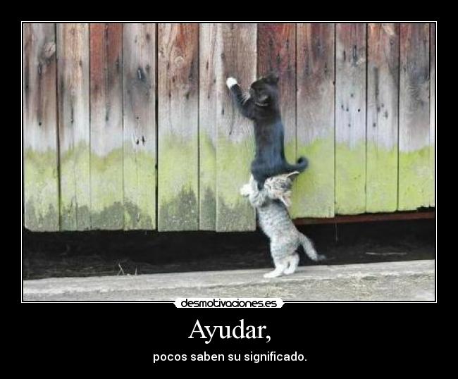 Ayudar, - 